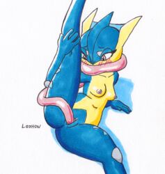 greninja from nintendo by loshon