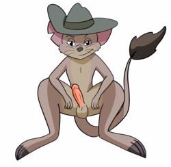 absurd_res brown_body brown_fur clothing darkwolf79 dipodomyine disney feral fur hat headgear headwear heteromyid hi_res jake_(the_rescuers) kangaroo_mouse kangaroo_rat male male_only mammal penis rodent solo testicles the_rescuers the_rescuers_down_under whiskers