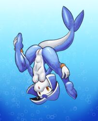 anthro blue_body blue_skin breasts cetacean delphinoid female fours_(artist) genitals hanging_breasts hi_res mammal marine pussy solo sonic_(series) sonic_legacy sonic_the_hedgehog_(series) tempest_the_dolphin toothed_whale underwater water