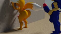 3d big_ass big_butt big_penis hornybunny male male_only sonic_(series) sonic_the_hedgehog tails thick_ass thick_penis thick_thighs