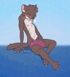 2020 5_fingers 5_toes anthro black_nose brown_body brown_fur brown_hair clothing digital_media_(artwork) fingers fur hair male male_only mammal multi_nipple mustela mustelid musteline nipples open_mouth solo speedo swimwear teeth toes tongue unimpressive_(artist)