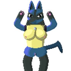 anthro boobamaster breasts female female_focus female_only lucario paws pixel_art pokemon pokemon_(species) pussy solo solo_female solo_focus tagme