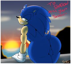 anthro ass balls border clothing flamez footwear genitals handwear hi_res leaning_on_object looking_at_viewer looking_back male male_only mobian_(species) mostly_nude postcard sega solo sonic_(series) sonic_the_hedgehog sonic_the_hedgehog_(series) sunset white_border