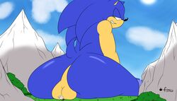 absurd_res anthro balls crush duo flamez genitals hi_res looking_back macro male male/male outside sat_on shadow_the_hedgehog smothering sonic_(series) sonic_the_hedgehog sonic_the_hedgehog_(series)