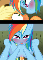 applejack_(mlp) female friendship_is_magic futanari intersex my_little_pony rainbow_dash_(mlp) smooth_skin zat