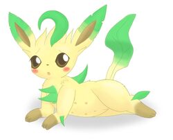 3_toes blonde_fur blush brown_eyes brown_fur brown_nose color eeveelution female female_only feral fur furry furry_only generation_4_pokemon leafeon looking_left navel nintendo nipples nude open_eyes open_mouth pointy_ears pokemon pokemon_(species) raised_tail solo vulva white_background