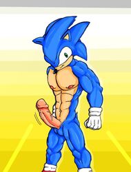 anthro erection fur gloves hedgehog humanoid_penis k3rry male male_only mammal muscles nude penis solo sonic_(series) sonic_the_hedgehog standing tagme