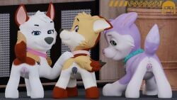 3d_(artwork) ahsoka_(littlebolty) animal_genitalia animal_vulva canid canine canine_genitalia canine_vulva canis digital_media_(artwork) domestic_dog fan_character female feral genitals group hi_res mammal nakia_(littlebolty) paw_patrol prissy_(littlebolty) trio unknowndata vulva