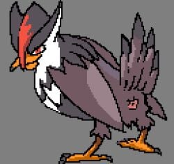 animal_genitalia avian avian_caruncle beak butt claws cloaca dewlap_(anatomy) digital_media_(artwork) feathered_crest feathers feet female feral folded_wings generation_4_pokemon genitals head_crest hi_res kuvik multicolored_body multicolored_feathers nintendo orange_beak orange_feet pixel_(artwork) pokemon pokemon_(species) presenting presenting_cloaca presenting_hindquarters raised_tail red_eyes solo staraptor tail toe_claws wattle wings