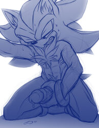 shadow the hedgehog from sega by nowykowski7