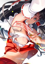 breasts fanbox_reward go_robots highres inverted_nipples paid_reward puffy_nipples reimu_hakurei touhou