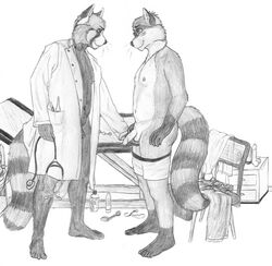 anthro ball_grab balls boxer_briefs boxers_(clothing) circumcised clothing dacapo dildo doctor duo flaccid genital_exam genitals hernia_check male male/male mammal medical_instrument monochrome penis physical_exam procyonid raccoon scientific_instrument sex_toy stethoscope testicular_exam underwear underwear_down unprofessional_behavior