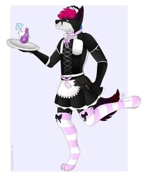 anthro armsocks armwear ass bell bell_collar beverage bottomwear bow_tie canid canine canis cleaning clothed clothing clothing_lift collar corset crossdressing domestic_dog dress dress_lift footwear fox genitals girly hi_res lingerie maid_hat maid_uniform male mammal paws penis piercing pink_collar plug raised_clothing raised_skirt samuelwolfo skirt skirt_lift slave socks solo solo_focus topwear uniform wolf ych_result