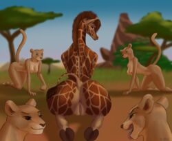 2020 anthro antira anus areola ass bent_over blue_eyes breasts brown_eyes disney felid female female_only fur furry genitals giraffe giraffid group hi_res hooves kneeling lion looking_back mammal nala nipples pantherine pussy tan_body tan_fur the_lion_king tongue tongue_out triangular_anus y_anus