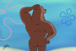 2020 anthro ass backsack balls beach benjipaws craig_mammalton genitals hi_res male male_only mammal marine muscular muscular_anthro muscular_male nude outside pinniped seal seaside smooth_skin solo spongebob_squarepants standing tan_body