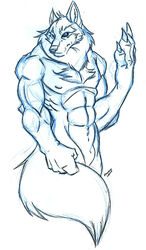 2008 abs animal_genitalia anthro biceps biped blue_and_white canid canine canis chest_tuft dragondrawer finger_claws fingers front_view fully_sheathed genitals hi_res male male_only mammal monochrome muscular muscular_anthro muscular_male nipples nude pecs pen_(artwork) serratus sheath simple_background solo traditional_media_(artwork) tuft white_background wolf