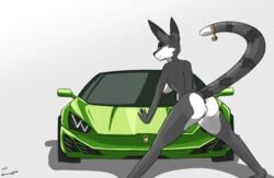 anthro anus ass bell bent_over breasts canid car digital_media_(artwork) female fur genitals hi_res hybrid kida_howlette lamborghini looking_at_viewer looking_back mammal nipples nude outside presenting presenting_anus presenting_pussy pussy simple_background smile solo spread_legs spreading vehicle