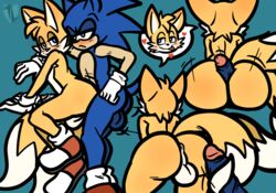 anthro ass balls big_ass big_balls big_butt blush buttjob canid canine duo eulipotyphlan femboy fox gay genitals hedgehog hi_res male mammal miles_tails_prower sex sonic_(series) sonic_the_hedgehog sonic_the_hedgehog_(series) tail_job tailjob taillove_(artist) wide_hips