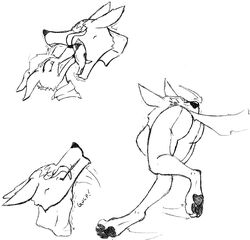 aldaric anthro ass canid canine canis chaoshetra female fox hi_res male mammal monochrome nintendo oral_vore paws rule_63 sequence star_fox straight struggling swallowing text video_games vore wolf wolf_o'donnell