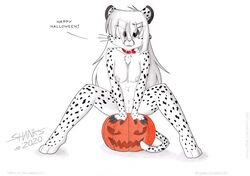 anthro breasts cheetah collar collar_only english_text felid feline felis female food fruit genitals halloween halloween_2020 holiday_message holidays mammal nude paws plant pumpkin pussy solo text tirashanks_(artist) vanilla_(tirashanks)