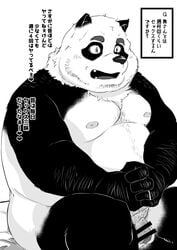 2020 anthro balls belly flaccid genitals giant_panda hi_res humanoid_hands japanese_text kemono male male_only mammal moobs nipples overweight overweight_anthro overweight_male penis shintatokoro sitting solo text ursid