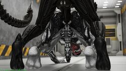 3d alien alien_(franchise) anal anal_sex ass balls big_ass big_breasts big_penis black_body black_eyes blender_(software) breasts exoskeleton feet futanari large_breasts large_penis legs long_tongue male male_on_futa marvel marvel_comics oc on_all_fours penis penis_in_ass prehensile_tongue sex sharp_claws sharp_teeth spider-man_(series) symbiote syx_(thekidxeno) tail teeth thekidxeno thick thick_thighs thighs tongue tongue_out watermark white_body wide_hips xenomorph