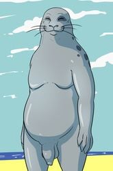 2020 anthro balls beach beastars casual_nudity closed_eyes fizzpop flaccid foreskin front_view genitals grey_body grey_skin happy hi_res male mammal marine moobs nude overweight overweight_anthro overweight_male penis pinniped portrait public_nudity sagwuan_(beastars) seal seaside smile solo spotted_seal standing three-quarter_portrait unretracted_foreskin whiskers