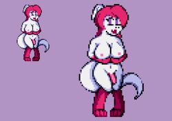 1futa anthro bad_anatomy big_breasts breast_grab breasts digital_media_(artwork) dragon ellis_amare fur furred_dragon furry futa_only futanari genitals gloves_(marking) gynomorph hair hand_on_breast horn ice_dragon intersex low_res markings nude pixel_art purple_eyes red_body red_fur red_hair reinhardtsquare rule_63 scalie simple_background solo solo_futa white_body white_fur