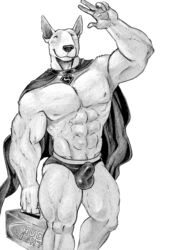 abs balls biceps bull_terrier canine julius male_only muscular muscular_male nipples obliques pecs solo triceps tush veiny