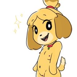 1:1 animal_crossing anthro breasts canid canine canis collar collar_only domestic_dog female genitals hi_res isabelle_(animal_crossing) looking_at_viewer mammal muffinlewds navel nintendo nipples pussy sketch slightly_chubby smiling_at_viewer solo sparkles tailwag video_games