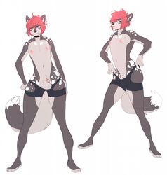 animal_genitalia anthro balls canid canine canis clothing collar domestic_dog fur genitals hair hi_res husky male male_only mammal nipples nordic_sled_dog red_hair sheath silus_(character) solo spitz spots spotted_body spotted_fur spotted_husky spotted_nose underwear wasabitea