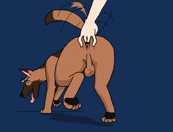 ahe_gao anal anal_fingering anus backsack balls canid canine canis domestic_dog feral fingering gaping gaping_anus genitals german_shepherd herding_dog human kkhorseplay looking_pleasured male male/male mammal pastoral_dog tailwag tongue tongue_out