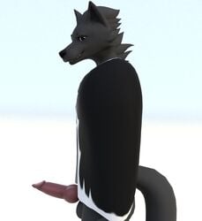 3d animal_genitalia animal_penis anthro balls black_body black_fur canid canine canine_penis canis cape clothing delbi3d erection fur genitals hi_res iveraks_(iveraks) looking_at_viewer male male_only mammal penis simple_background solo standing wolf