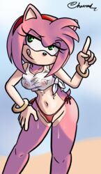 amy_rose busty charredarousal female fur furry hourglass_figure pinup pinup_pose pose posing sega sonic_(series) sonic_the_hedgehog_(series) tagme wide_hips