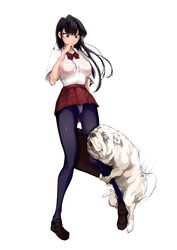 big_breasts bulldog canine canine_on_human dark_hair dog domestic_dog female female_human hetero human humping humping_leg komi-san_wa_komyushou_desu komi_shouko leg_hug long_hair male male/female male_canine mamimi_(artist) mamimi_(mamamimi) panties pantyhose school_uniform schoolgirl surprised zoophilia