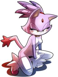 anthro blaze_the_cat cat feline female female_only fur mammal nancher solo sonic_(series) sonic_the_hedgehog_(series) tagme