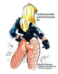 black canary from dc by w.means