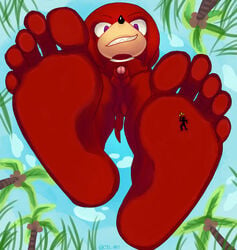 5_toes absurd_res anthro balls barefoot cbl_art duo eulipotyphlan feet foot_fetish foot_focus foreskin genitals hedgehog hi_res knuckles_the_echidna looking_at_viewer low-angle_view macro male male/male male_only mammal micro nude penis soles stomping toes trampling