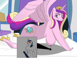 absurd_res alicorn animal_genitalia animal_penis anthro atreus725 big_breasts breasts cutie_mark duo equid equine equine_penis erection feathered_wings feathers female friendship_is_magic genitals hair hasbro hi_res horn horse macro male mammal micro multicolored_hair my_little_pony nipples nude open_mouth penis pony princess_cadance_(mlp) shining_armor_(mlp) shrink size_difference smile straight unicorn wings