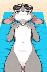 1girls 2026 ai_generated anthro beach blushing disney female female_only flat_chest grey_fur half-closed_eyes hi_res innie_pussy judy_hopps laying_down laying_on_back nipples nude nude_female on_back on_towel outdoors pink_nipples purple_eyes pussy rabbit smile smug sunglasses sunglasses_on_head towel white_fur zonoya_(artist) zootopia