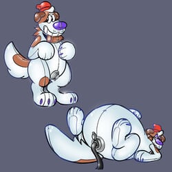 1:1 animate_inanimate anthro anus belly big_belly campa canid canine canis domestic_dog hi_res inflatable inflation living_inflatable looking_at_viewer lying male male_only mammal molosser mountain_dog nozzle null on_back paws pool_toy rubber saint_bernard smile solo stomach_bulge