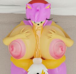 3d amy_rose big_ass big_breasts blender hyper_breasts hyper_penis minttoo paizuri sonic_(series) tails