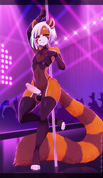 1boy ailurid anthro belt choker dancing fingerless_gloves furry genitals girly gloves handwear highres jewelry male male_only mammal necklace panties penis pole pole_dancing public purple_eyes re-sublimity-kun red_panda solo stripper_pole thighhighs underwear