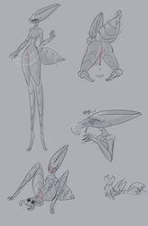 1boy 1girls abdomen after_sex all_fours anthro blowjob blush breasts cowgirl_position cum cum_in_mouth cum_in_pussy cum_inside digital_media_(artwork) exoskeleton fecharis female from_behind hollow_knight hornet_(hollow_knight) incest insect_abdomen insect_abdomen_pussy insects larger_female legs_apart lying_down male multiple_views nipples onomatopoeia orgasm penis penis_bigger_than_body protagonist_(hollow_knight) pussy pussy_blush pussy_juice saviottt sex shaking siblings simple_background simple_shading size_difference sketch smaller_male standing straight sweating team_cherry thread vaginal_penetration video_games