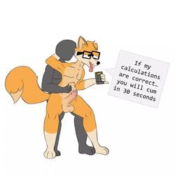 anal anal_sex anthro balls bodily_fluids canid canine catboyz duo erection eyewear faceless_character fivey_fox fox fur genital_fluids genitals glasses hi_res humanoid humanoid_genitalia male male/male male_penetrating mammal nude orange_body orange_fur penetration penis precum simple_background text tongue tongue_out white_body white_fur