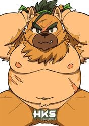 2020 anthro balls belly bmf_6666 brown_body brown_fur canid canine canis domestic_dog fur genitals hi_res kemono male male_only mammal moobs navel nipples overweight overweight_male penis scar simple_background solo tokyo_afterschool_summoners video_games white_background yasuyori