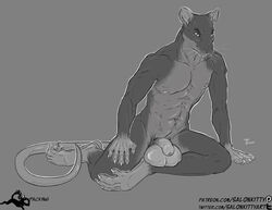 anthro balls big_balls flaccid foreskin genitals greyscale humanoid_genitalia humanoid_penis looking_at_viewer male male_only mammal monochrome murid murine muscular muscular_male nails nude penis rat rodent salonkitty shephard sitting solo uncut whiskers