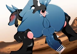 ..._(artist) 2020 absurd_res alternate_version_at_source anus balls blush erection gaping gaping_anus genitals hi_res looking_at_viewer looking_back lucario male nintendo penis pokemon pokemon_(species) solo tongue tongue_out video_games yaoi