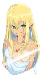 ..._(artist) 2020 absurd_res blood bodily_fluids breasts censored elf female green_eyes hi_res humanoid scar smile solo teenager young