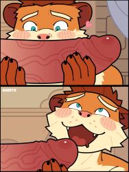 2boys absurdres ahe_gao anthro artist_name bearry19 blush choi_yuhee claws derivative_work drooling english_commentary eye_contact fangs furry furry_male gay heart highres imminent_oral implied_incest looking_at_penis looking_up male male_focus meme meme_reference mouth_drool multiple_boys mustelid musteline open_mouth oral penis reference rumi_sniffing_gimbap seductive_mouth sniffing sniffing_penis throat tongue_out topless_male uncensored weasel whiskers xxl_woofia yaoi